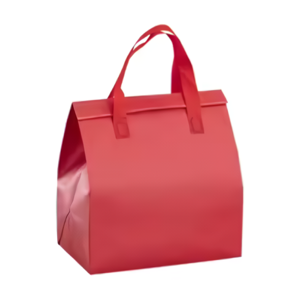 BOLSA CONSERVADORA DE FRIO DE VINO 24X24X15 cm - Imagen 4