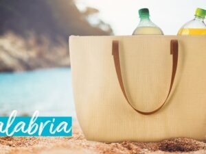 BOLSA NEVERA MODELO CALABRIA.   COD: 10253
