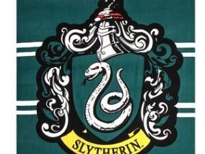 TOALLA DE PLAYA MODELO HARRY POTTER SLYTHERIN. DE MICROFIBRA.  MULTICOLOR. TAMAÑO 90x180. COD: 422200010394-CRD