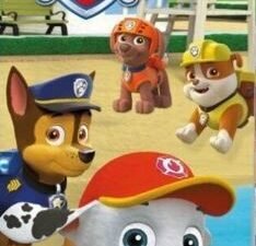 TOALLA DE PLAYA MODELO PAW PATROL PATRULLA. DE MICROFIBRA. MULTICOLOR. TAMAÑO 70x140. COD: 39259PW-BTM-NEW