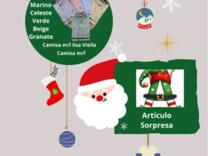 Paquete de navidad 11